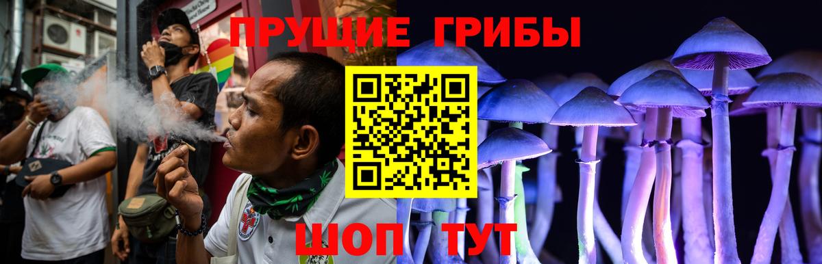 Обь  Псилоцибиновые грибы Magic Shrooms  Вход с VPN 