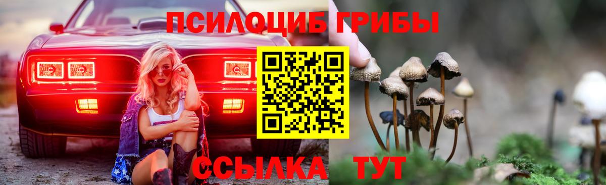 Псилоцибиновые грибы мицелий Обь